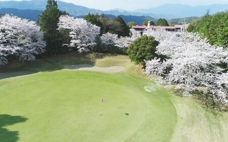 大洲ゴルフ倶楽部 ゴルフプレー利用補助券 1000円券×3枚 愛媛県大洲市/大洲観光株式会社  ゴルフ場 プレー プレー券 旅行 体験[AGDI001]