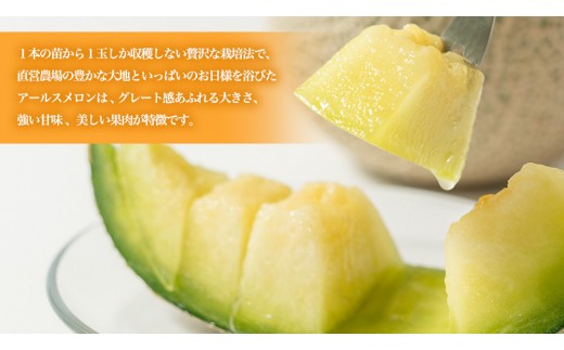 《 2027年 発送 》 訳あり アールスメロン 2玉 糖度14度以上 先行予約 果物 フルーツ 農家直送 産直 青肉メロン 特産品 マスクメロン メロン くだもの 茨城 訳アリ わけあり ワケあり 