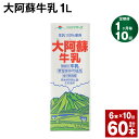 【ふるさと納税】【定期便】【1ヶ月毎10回】大阿蘇牛乳 1L 紙パック 6本 計60本（6本×10回） 牛乳 ミルク 成分無調整牛乳 乳飲料 乳性飲料 熊本県産 国産 九州 熊本県 菊池市 送料無料