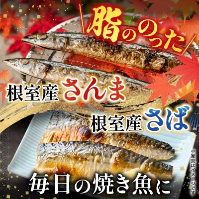 ふるさと納税 根室市 【北海道根室産】さんま・さば・唐揚げ用たこ・たこ刺身セット A-19014 |  | 02