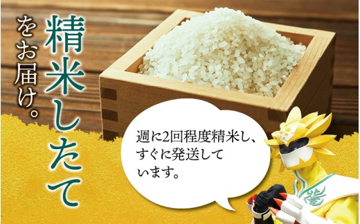 新米 予約 令和8年度産 おぼろづき 5kg 白米 / 低農薬米 北海道 北竜町産 ※2026年10月中旬～順次発送【uni400-obo-r5-R8】
