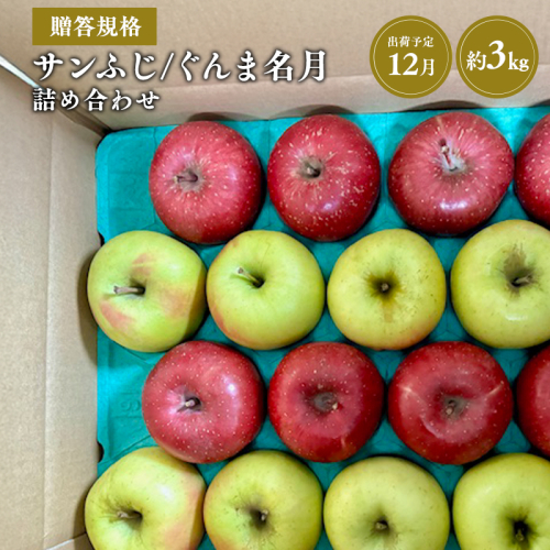 【令和7年産受付】贈答用 サンふじ/ぐんま名月 詰め合わせ約3kg【青森県平川市産・青森りんご】