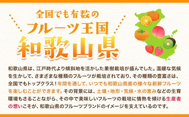 和歌山県産 あんぽ柿大10個セット紀の里農業協同組合《90日以内に出荷予定(土日祝除く)》柿果物フルーツ---wsk_jakanpo_90d_22_12000_10c---