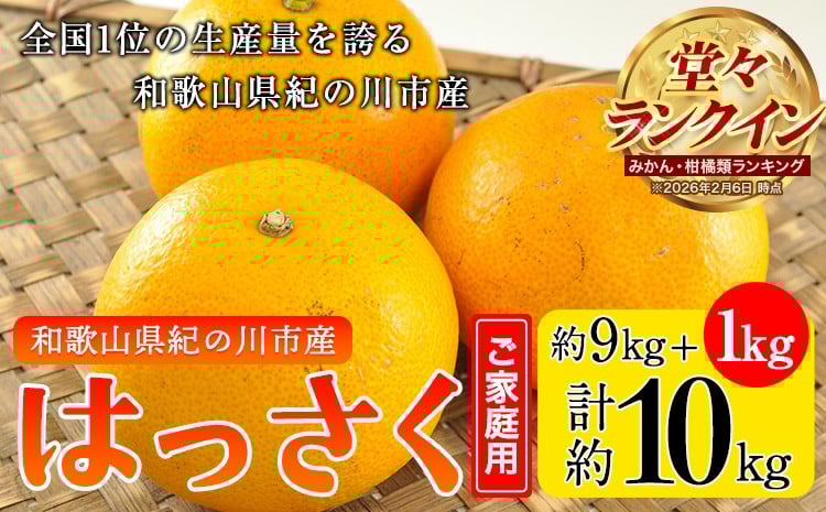 
                  【先行予約】八朔 はっさく【訳あり/ご家庭用】紀の川八朔 9kg＋1kg 計約10kg サンファーム《2026年1月上旬-3月末旬頃出荷》和歌山県 紀の川市 はっさく10kg 八朔 10kg
                