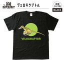 【ふるさと納税】恐竜・古代生物Tシャツ　ヴェロキラプトル 010