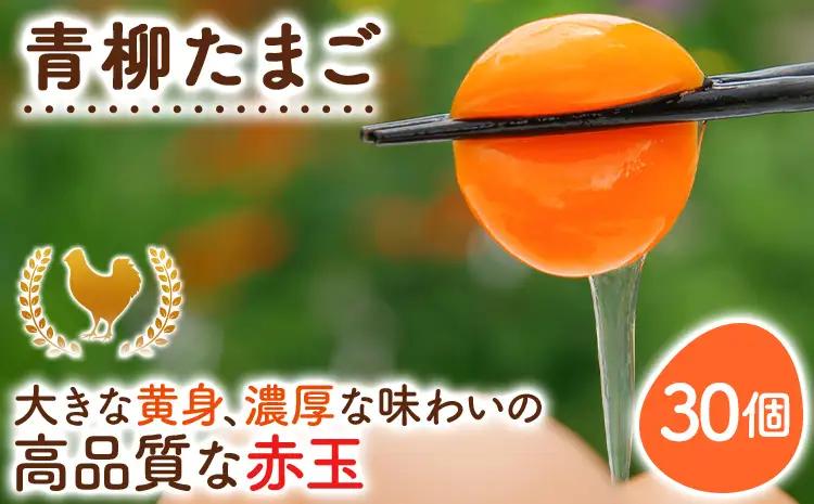 卵  青柳たまご 30個  卵 