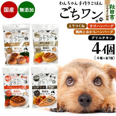 ふるさと納税 秋田市 わんちゃん手づくりごはん「ごちワン」レトルト4種セット|15_pco-02e101