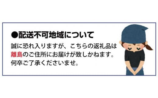 和歌山オリジナルブランドいちご「まりひめ」約250ｇ×4パック ※2025年1月下旬頃～3月上旬頃順次発送（お届け日指定不可）/イチゴ 苺 フルーツ 紀州 和歌山