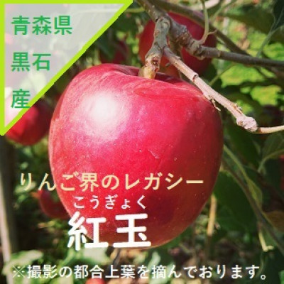 青森県産りんご　’はあと’紅玉　3K箱