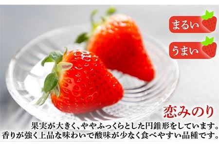 【先行予約】お徳用 いちご 1kg イチゴ 苺 バラ詰め ゆめのか 恋みのり ゴロゴロ生いちご 中玉小玉サイズ 【2025年2月以降順次発送】《壱岐市》【蒼花】 [JEO002] 9000 9000円