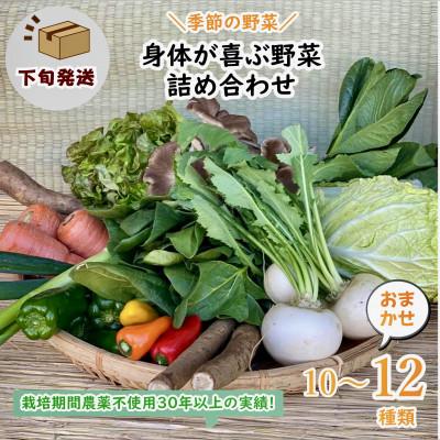 ふるさと納税 行方市 【発送月固定定期便】『身体が喜ぶ野菜』おまかせ10〜12品(下旬発送)全10回