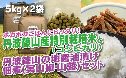 【令和7年産 2025年9月以降順次発送】 丹波篠山の地醤油漬、佃煮セット　特別栽培米5kg×２と実山椒・山蕗 兵庫県 丹波篠山市 白米 100％単一原料米 産地直送米 贈答 おいしい お米 精米 コシヒカリ ブランド おこめ 健康 ギフト 内祝い 贈り物 送料無料 おすすめ 人気 口コミ