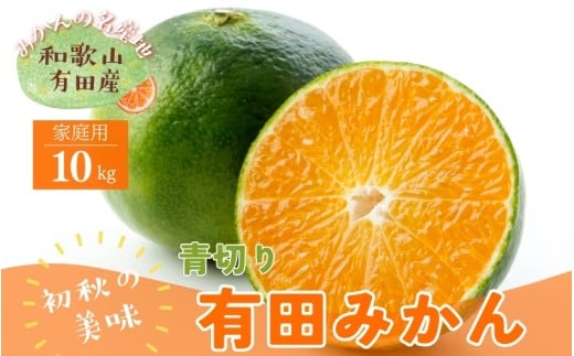 【先行予約】【初秋の美味】【農家直送】有田育ちのご家庭用青切り有田みかん　約10kg+200g(傷み補償分)【2026年9月中旬～10月上旬頃に順次発送予定】【ard046D】