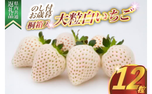 ＜のし付き＞お歳暮　桐箱入り　大粒白いちご　12粒　県内共通返礼品 (BR124)
