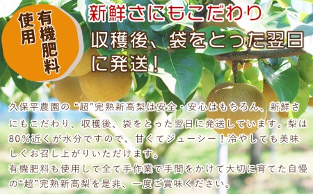 【先行予約】【数量・期間限定】久保平農園の源流山育ち完熟新高梨 5kg 産地直送 果物 なし 梨 箱入り 大分県 中津市