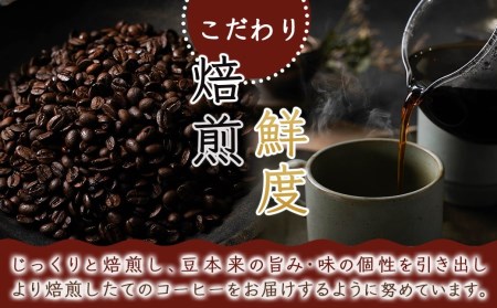 5回お届け!焙煎職人こだわりのコーヒー定期便【豆】250g 小分けパック(ジッパー・バルブ付) ※中深煎り※_TLA5-3302_(都城市) コーヒー豆 250g×1パック 少量パック ジッパー・バル