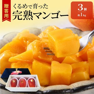 【2026年6月以降お届け】くるめで育った完熟マンゴー（3個：約1kg）_先行予約 贈答用 トロ～ッと口のなかでとろける くるめで育った 完熟マンゴー 3個 約 1kg 甘い 子供も安心 フルーツ  果物 マンゴー 完熟 国産 冷蔵 クール便 倉重農園 お取り寄せ 福岡県 久留米市 送料無料 〔Fm013〕