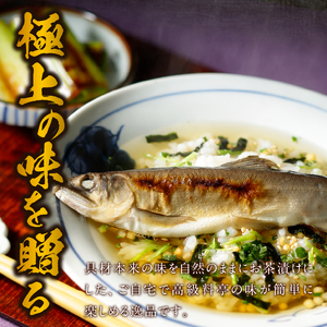 ＜山年園＞【高級】鮎茶漬け×10袋セット【ギフト包装済み】