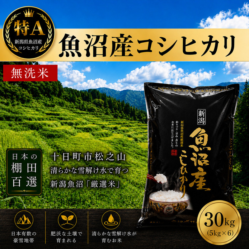 【令和7年産】【食味鑑定士厳選】日本棚田百選のお米 無洗米 天空の里 魚沼産 こしひかり 30kg(5kg×6)