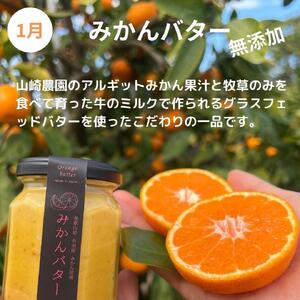 みかん満足セットM | 定期便 全3回 フルーツ みかん 不知火 みかんバター 12月～2月