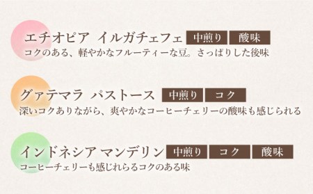 【飲み比べ】【12回定期便】ドリップバック 自家焙煎コーヒー 50袋（5種類×10袋） ＜giko coffee＞ [CFK037]