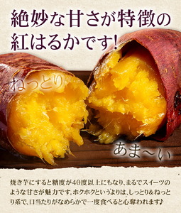 秀品 紅はるか 約10kg S～2L混合 株式会社Foody’s 《90日以内に発送予定（土日祝を除く）》熊本県 菊池市 さつまいも 芋 紅蜜芋 焼き芋 野菜 菊池市産 熊本県産 九州産