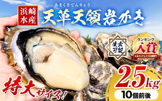 浜崎水産の天草天領岩かき 約2.5kg 《2026年4月上旬-7月末頃出荷予定》 【配送不可地域あり】 海鮮 海産物 海の幸 シーフード 魚貝類 かき 牡蠣 岩かき 岩牡蠣 夏牡蠣 生食用 生もの 濃厚 熊本県 苓北町