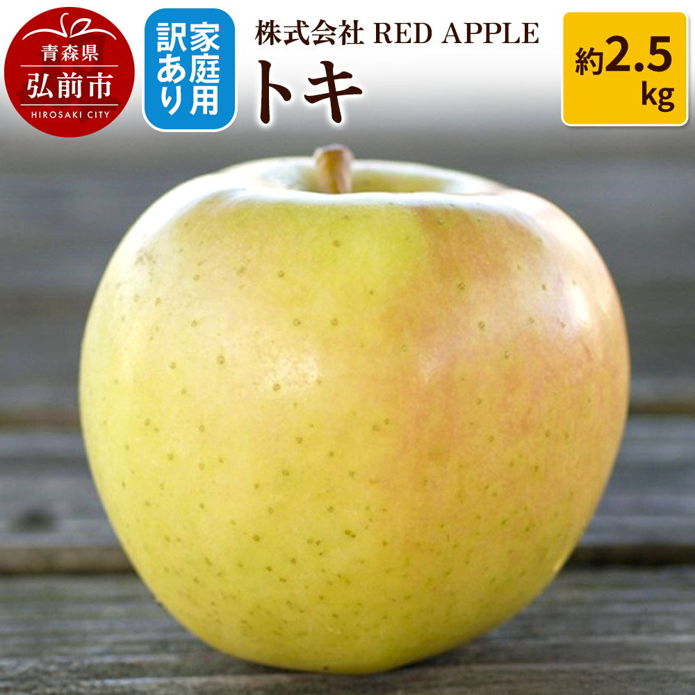 【ふるさと納税】りんご【訳あり】家庭用 トキ 約2.5kg