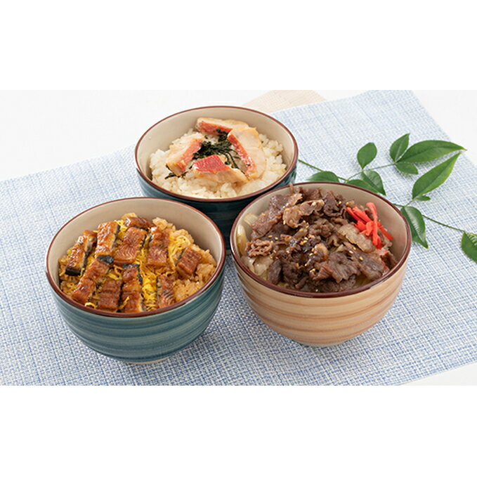 【ふるさと納税】静岡祭丼　食べ比べセット A （浜名湖鰻まぶし丼・三ヶ日牛丼・伊豆 金目鯛まぶし丼 各2食）【配送不可：離島】 うなぎ 牛肉 お肉 魚貝類