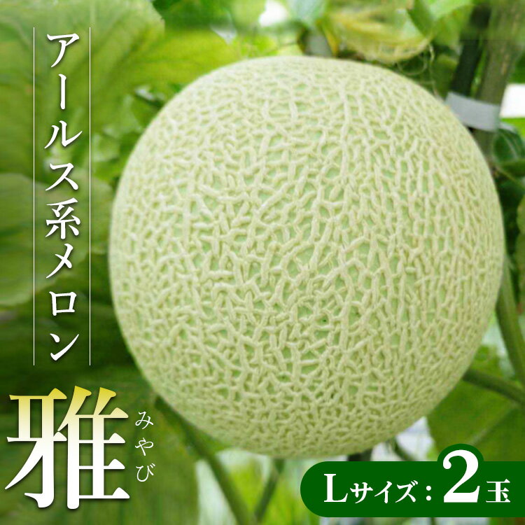 【ふるさと納税】アールス系メロン”雅”(みやび) 2玉 ※2025年7月上旬～7月中旬頃に順次発送予定 ※北海道・沖縄・離島への配送不可 ｜ メロン めろん 雅 果物 フルーツ 旬 坂東太郎 あまい 甘い 人気 取り寄せ お取り寄せ ギフト 贈答 贈り物 プレゼント 直送 _CB16