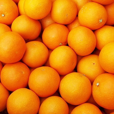 【発送月固定定期便】愛媛が誇る旬の柑橘めぐり（いよかん・しらぬい・せとか）【28-54】全3回 みかん ミカン  いよかん 伊予柑 不知火 しらぬい デコ せとか 柑橘 柑橘類  フルーツ 果物 くだ