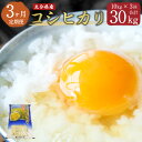 【ふるさと納税】＜3ヶ月定期便＞大分県産 コシヒカリ 10kg×3回 合計30kg こしひかり 精米 米 お米 定期便 国産 九州産 竹田市産 送料無料