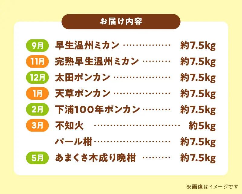 S040-T01A_【定期便8回】天草 下浦地区特産の柑橘8種食べ尽しコース(訳あり)【先行受付】