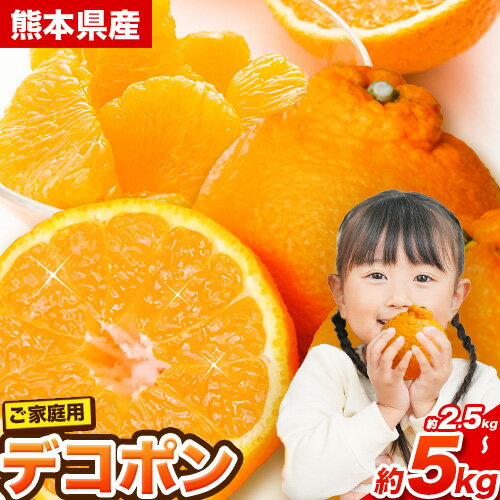 【ふるさと納税】先行予約 デコポン 訳あり デコポン 約5kg 前後 (約12-24玉前後) 約2.5kg 前後 (約6-12玉前後)《2026年2月上旬-4月末頃出荷》個別光センサー選果 不知火 熊本県産 (長洲町産含む) 糖度13度以上 フルーツ 旬 柑橘 しらぬい みかん でこぽん