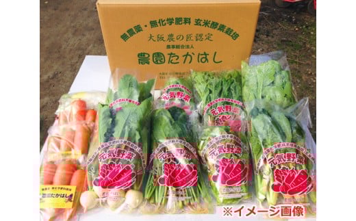 
No.024 こだわり農家の採れたて無農薬野菜セット ／ 季節野菜 やさい 安全 大阪府 特産品
