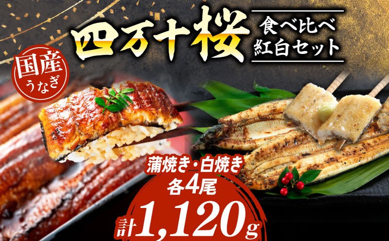 
                  【通常用】極上国産うなぎ四万十桜 食べ比べ紅白セット 蒲焼き 白焼き 約140g各4尾 | 完全無投薬 うなぎ 鰻 紅白セット 国産 調理済み タレ付き ギフト 土用の丑の日 お歳暮 お正月 高級 人気 お取り寄せ グルメ 食べ比べ 冷凍 家庭用
                