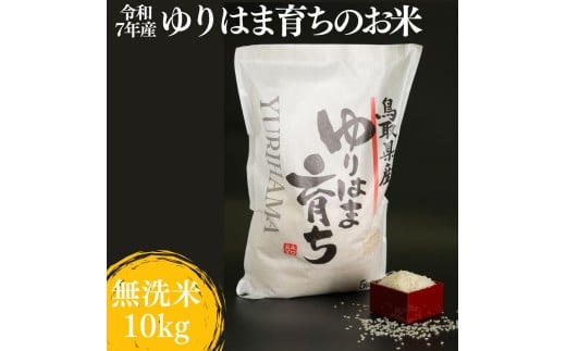 321K.ゆりはま育ちのお米◇無洗米10kg◇令和7年産