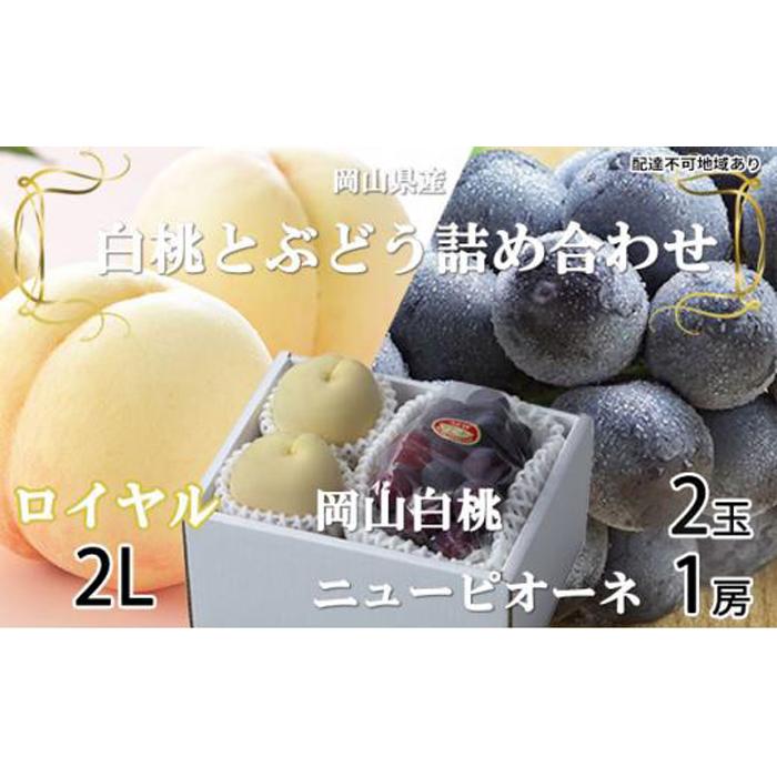 【ふるさと納税】桃 ぶどう 2025年 先行予約 岡山 白桃 ロイヤル 2玉×約250g（2Lサイズ、早生種・中生種）ニュー ピオーネ 1房約500g 詰め合わせ 岡山県産 フルーツ | フルーツ 果物 くだもの 食品 人気 おすすめ