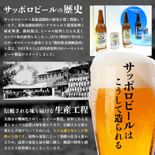 【定期便：全11回】サッポロヱビスビール 350ml×24本【880060021911】