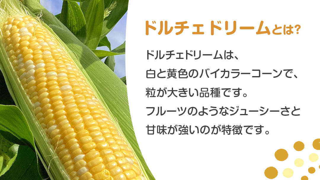 【 数量限定 】 嬬恋産 とうもろこし ドルチェドリーム 約18本～22本 約 10kg トウモロコシ 大粒 野菜 群馬 産地直送 期間限定 お取り寄せ [AT003tu]