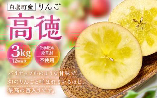 白鷹町産りんご （高徳） 3kg りんご 林檎 果物 くだもの フルーツ 旬 高徳 国産 山形県 白鷹町 【2025年11月上旬～11月下旬発送予定】