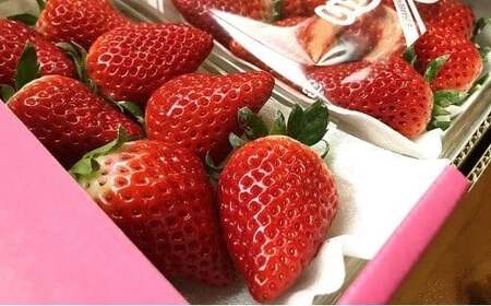 0B3-08 【先行予約】大分県ブランドいちご「ベリーツ」大粒（280g×2パック）