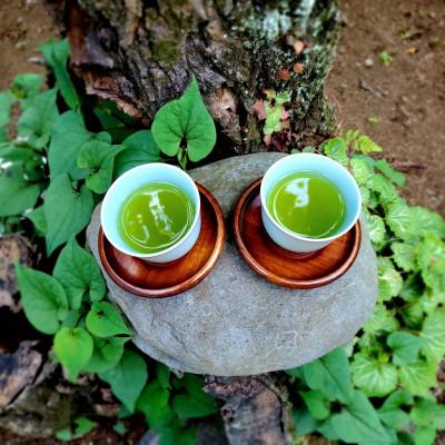 ふるさと納税 真鶴町 相模湾のミネラルで育つ茶葉!香り豊かに、色鮮やかに♪初摘み新茶3袋セット |  | 01