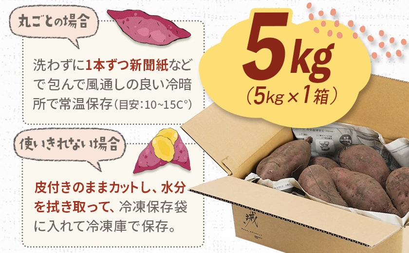 都城産 長期熟成紅はるか 5kg〔AA-I2-001-5kg〕