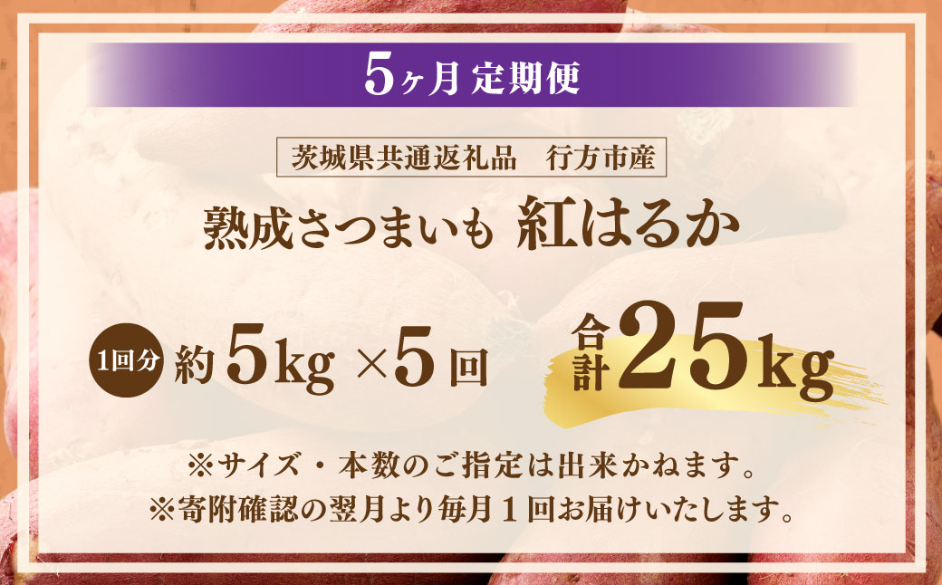 【5ヶ月定期便】“熟成”茨城県産さつまいも【紅はるか】約5kg (茨城県共通返礼品・行方市産）合計約25kg 芋 いも サツマイモ 野菜 やさい 国産