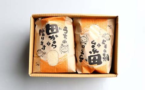 【定期便】令和5年産 漢方栽培 低温熟成乾燥 十四代目のササニシキ 5kg×2袋 （精米）全12回 米 お米 おこめ 山形県 新庄市 F3S-1705