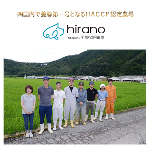 平野協同畜産の「麦豚」 豚もも切り落とし 6kg（500g×12パック） Ahc-16 四万十麦豚 切り落とし もも 国産 冷凍 小分け 