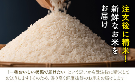 令和7年産 池山名水米 コシヒカリ 白米 精米 3kg フォーシーズン産山村