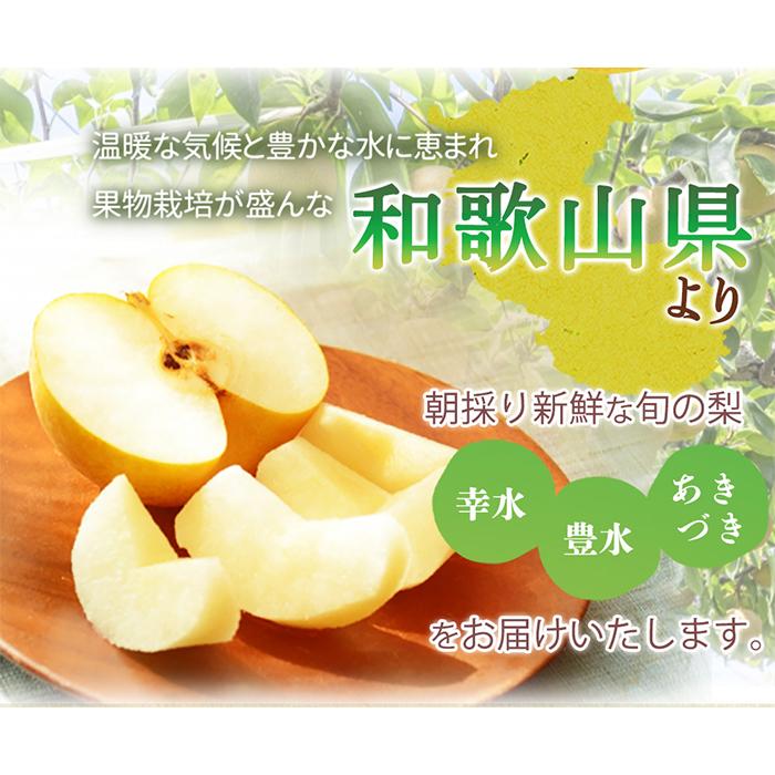 梨 3玉 化粧箱入 紀州和歌山 かつらぎ産【2025年8月下旬以降発送予定】【UT98】
