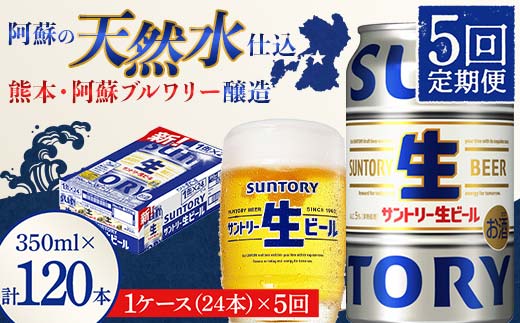 FK7-0141_ 【5回定期便】 サントリー 生ビール トリプル生 350ml ×1ケース (24缶)  熊本県 嘉島町 ビール サン生
